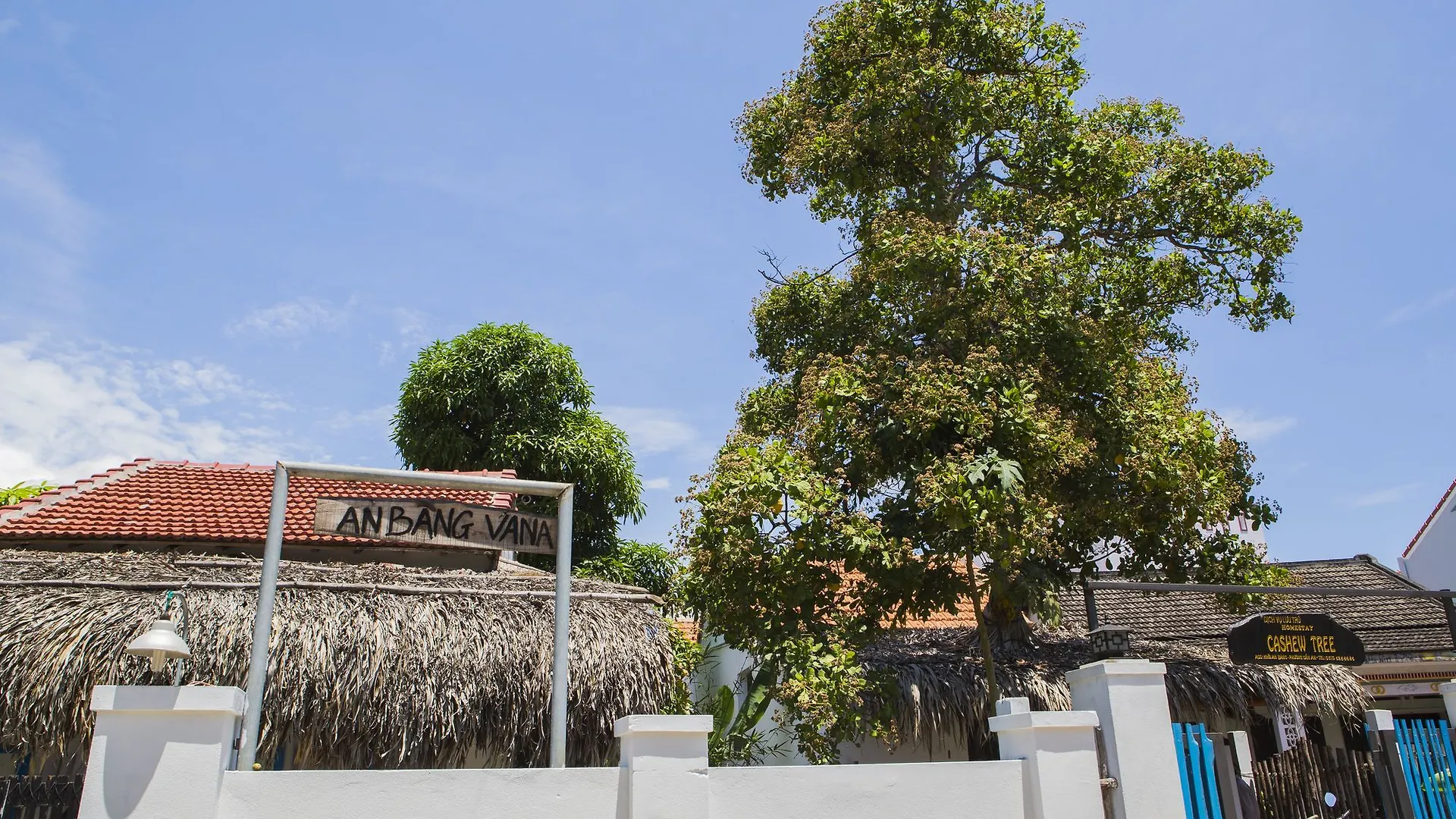 Cashew Tree Bungalow Hội An