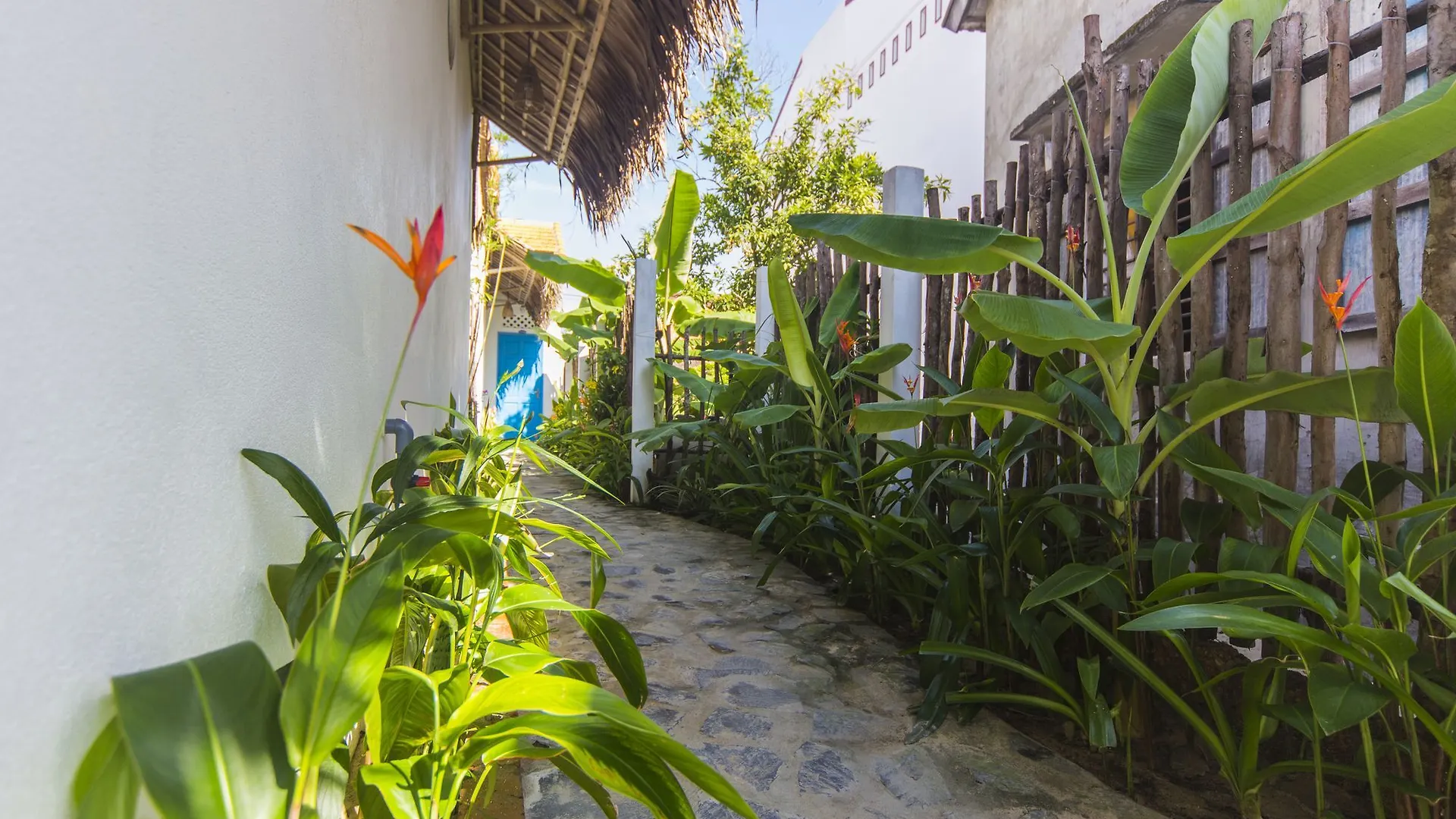 Cashew Tree Bungalow Hội An 3*,
