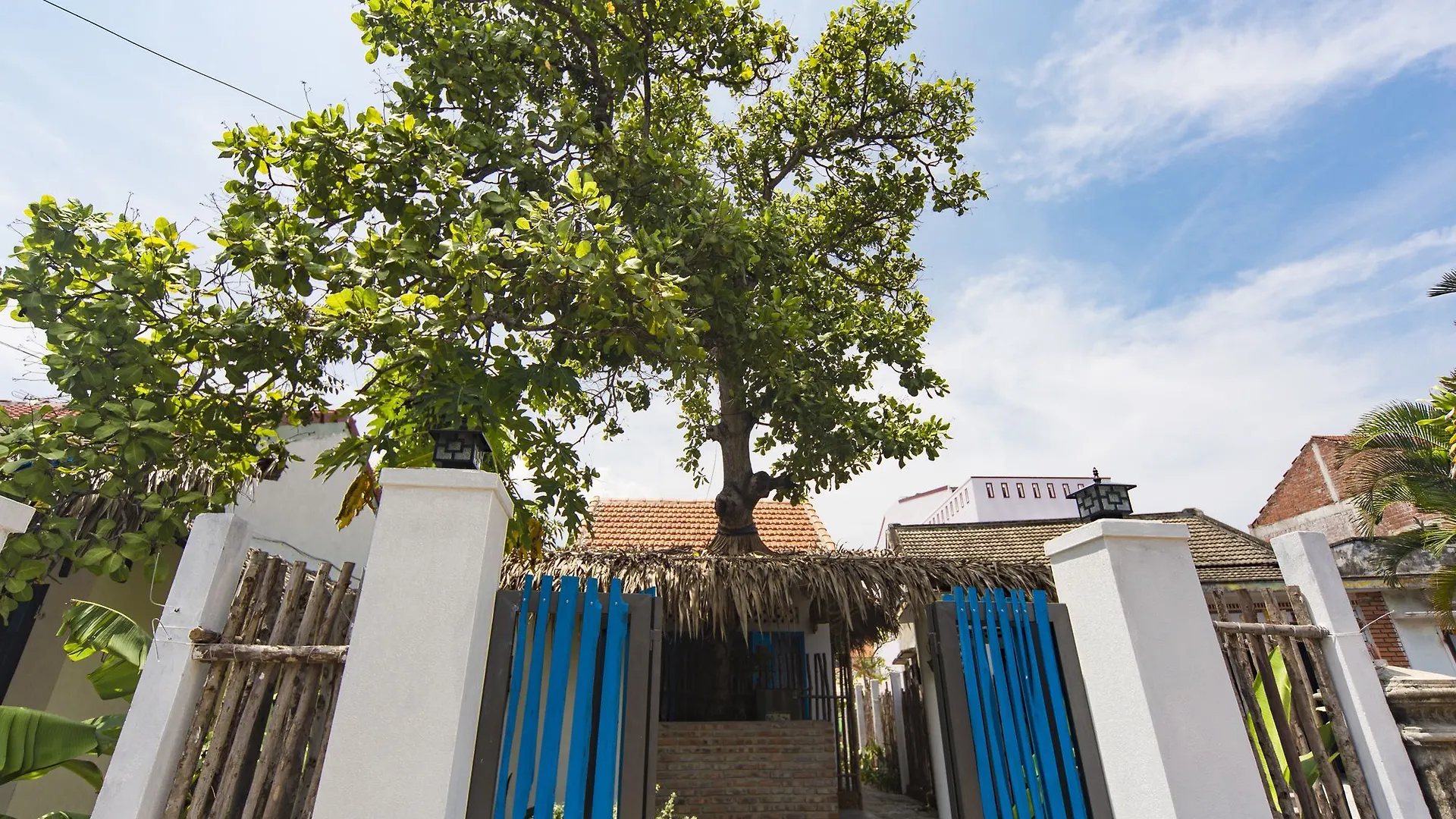 Cashew Tree Bungalow Hội An Couette-café